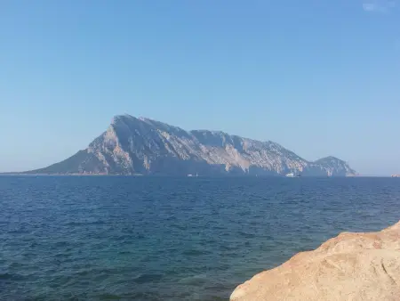 'Casa Monte Petrosu, Appartement 6 personnes à San Teodoro - Photo 18