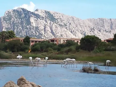 'Casa Monte Petrosu, Appartement 6 personnes à San Teodoro - Photo 19