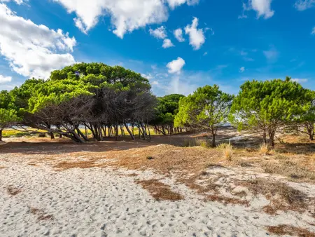 Haus in La Caletta mit privatem Parkplatz, Maison 15 personnes à La Caletta - Photo 18