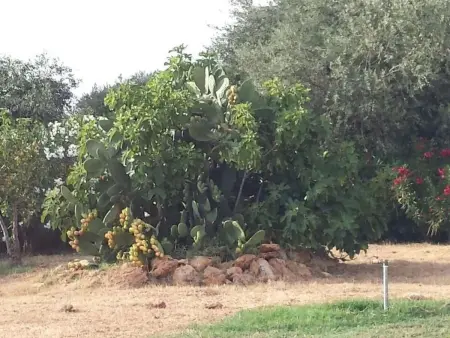 Villacinisi, Maison 8 personnes à Cinisi - Photo 16
