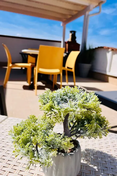 Anna Penthouse mit Terrasse, Appartement 4 personnes à Balestrate - Photo 13