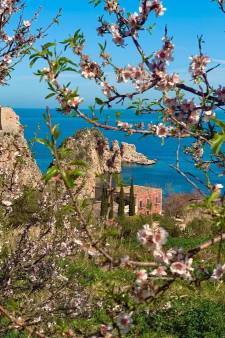 Flacher Flieder, Appartement 6 personnes à Castellammare del Golfo - Photo 15