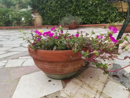 Wohnung mit Wasserblick, Appartement 6 personnes à Castellammare del Golfo - Photo 20