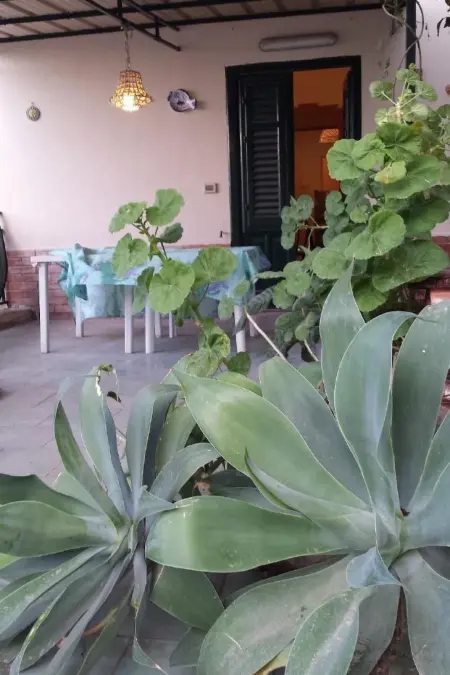 Wohnung mit Wasserblick, Appartement 4 personnes à Castellammare del Golfo - Photo 16