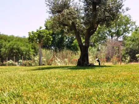 Mare e Dune, Maison 4 personnes à Menfi - Photo 7