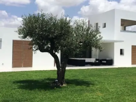 Mare e Dune, Maison 4 personnes à Menfi - Photo 22