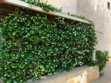Graffeo Häuser - Haus Jasmin, Appartement 4 personnes à Menfi - Photo 30