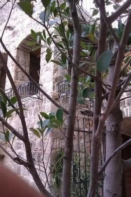 Villa Viktoria, Maison 6 personnes à Herceg Novi - Photo 17
