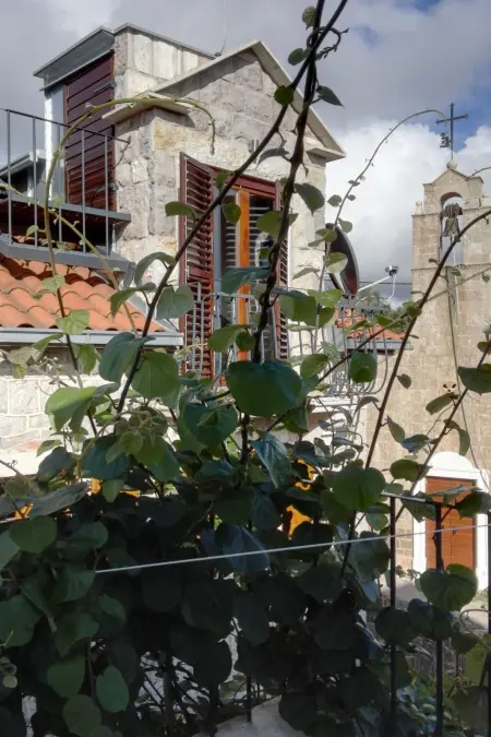 Villa Viktoria, Maison 6 personnes à Herceg Novi - Photo 19