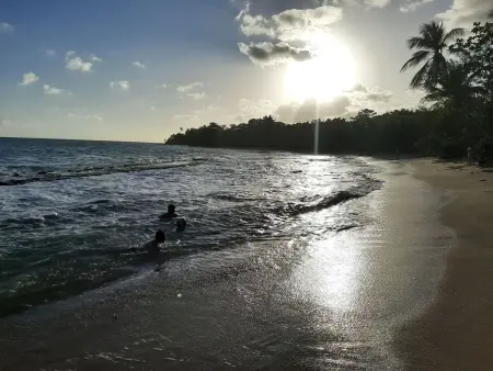 Appartment Le Marin mit Meerblick in Top Lage auf Martinique - Photo 4
