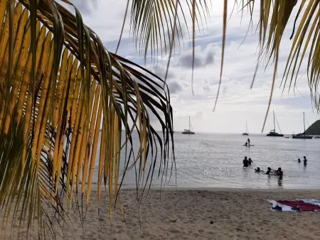 Appartment Le Marin mit Meerblick in Top Lage auf Martinique - Photo 7
