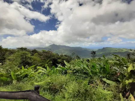 Appartment Le Marin mit Meerblick in Top Lage auf Martinique - Photo 25