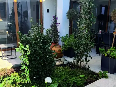 Haus der Kamelien, Appartement 4 personnes à Afife - Photo 1
