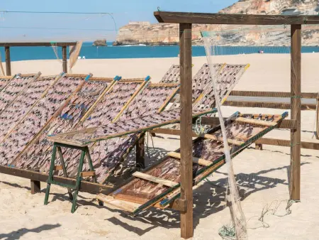 mit Blick auf das Wasser, Maison 6 personnes à Famalicão - Photo 31