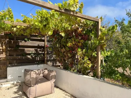 Schönes Landhaus mit Tauchbecken, Strand 3km, Maison 4 personnes à Aljezur - Photo 18