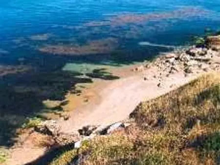Maison 4 pers, proche plage de Kercambre, St-Gildas-de-Rhuys - Photo 25
