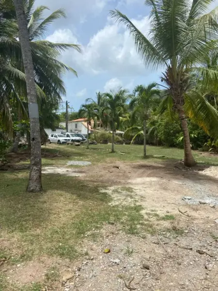 Appartement avec vue sur jardin à Les Trois-Îlets - Photo 3