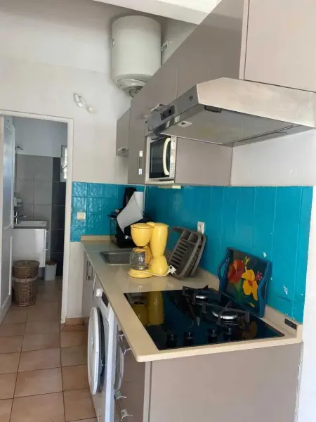 Appartement avec vue sur jardin à Les Trois-Îlets - Photo 14