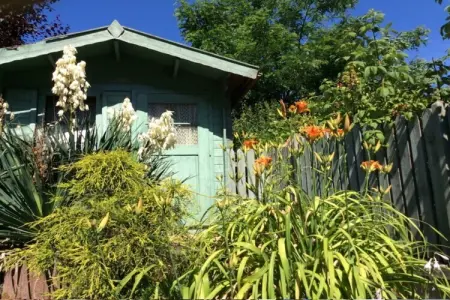 6132, Maison de vacances en Alsace avec 1 chambre - Photo 2