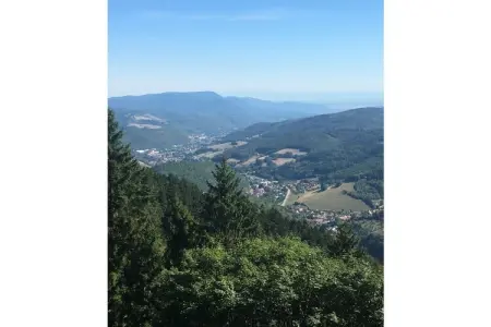 6132, Maison de vacances en Alsace avec 1 chambre - Photo 15
