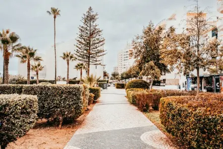 Beach House By Gt House, Joyau de Lisbonne, à pied jusqu'au Chiado - Photo 38