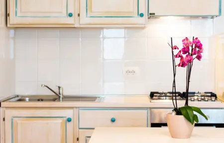 Bilo 4, Appartement 4 personnes à Orosei - Photo 12