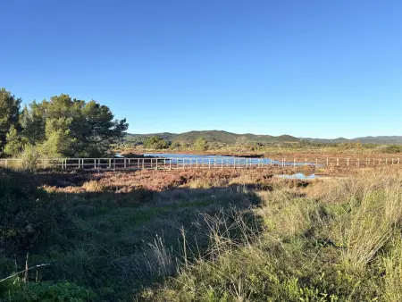 Hyères - Giens 2 pièces avec jardinet pour 4 pers - Photo 12