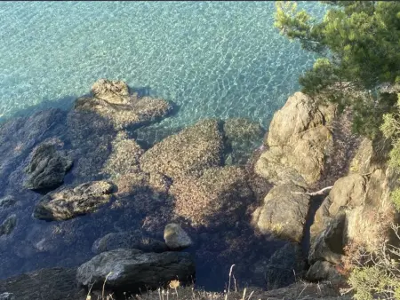 Hyères T3 Jardin, 4 Pers., Parking, Proche Plages - Photo 11