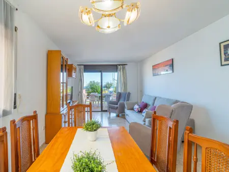 Appartement 2 ch, bord de mer, animaux acceptés - Photo 6