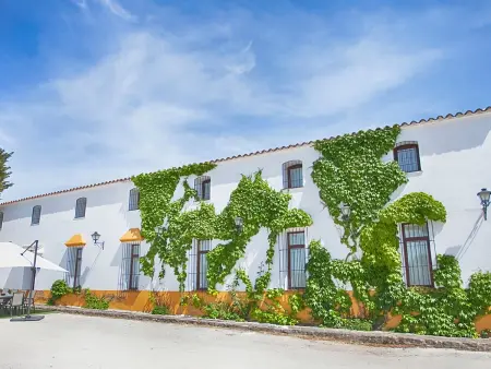 Cortijo Andalou pour 10 P., Climatisation, Animaux Acceptés - Photo 15