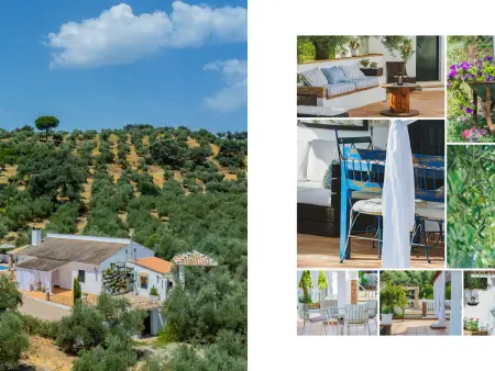 Gîte rural charmant à Adamuz pour 7 personnes, Gite 7 personnes à Adamuz - Photo 3