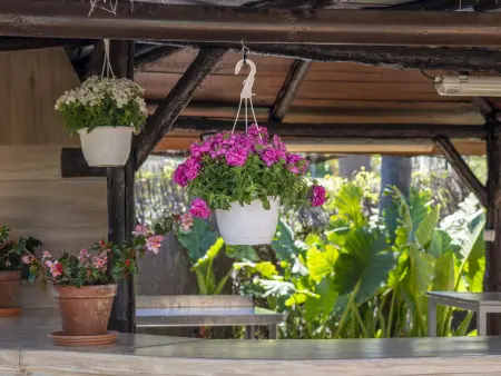 Maison de vacances pour 8 personnes avec piscine privée à Alhaurín el Grande - Photo 20