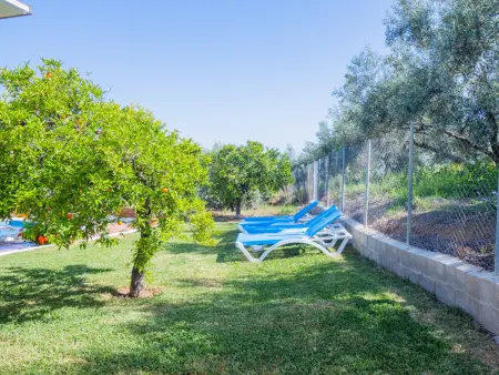 Charmante ferme rurale avec piscine privée à Alhaurín el Grande - Photo 6