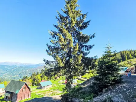 Komovi Luxus Haus Montenegro, Maison 4 personnes à Andrijevica - Photo 6