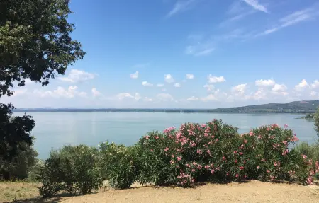 Maison 4 personnes à Tuoro sul Trasimeno - Photo 7