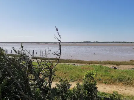 Maison calme à L'Aiguillon-sur-Mer pour 4 personnes avec animaux admis - Photo 23