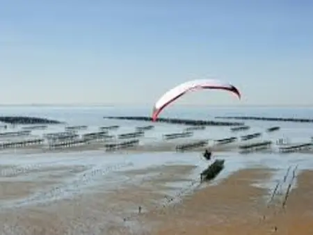 Maison calme proche plage et commerces à L'Aiguillon-sur-Mer - Photo 8