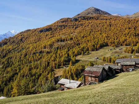 Chalet 1679, Maison 4 personnes à Törbel - Photo 3