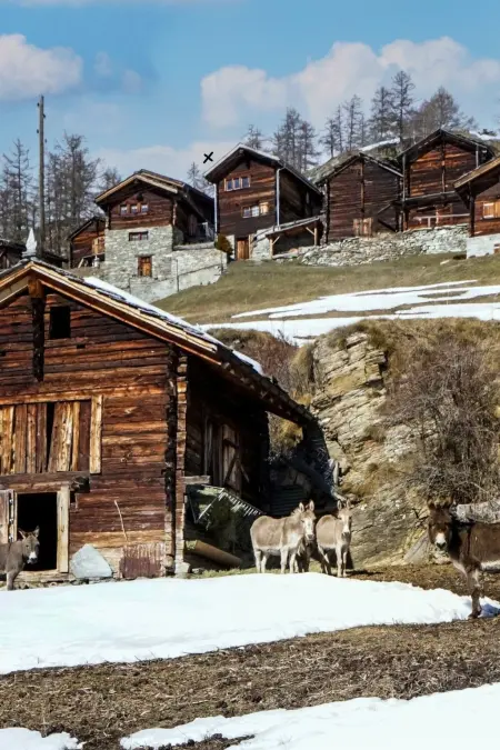 Chalet 1679, Maison 4 personnes à Törbel - Photo 4