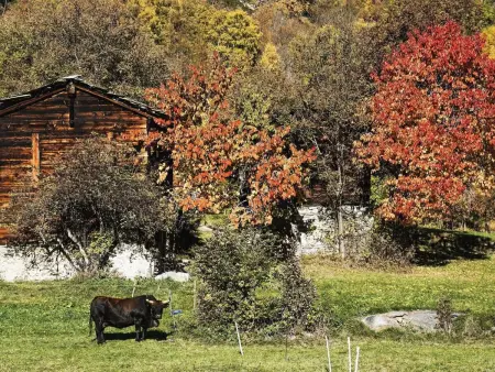 Chalet 1679, Maison 4 personnes à Törbel - Photo 27