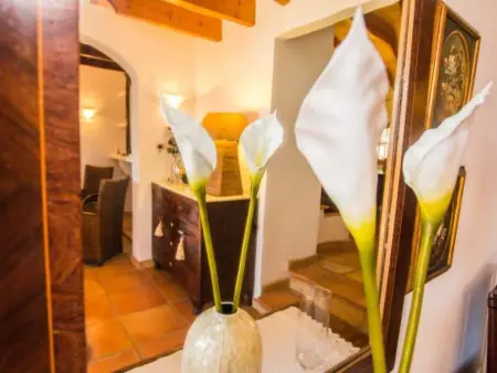 Tovell 10, Maison 10 personnes à Sant Llorenç des Cardassar - Photo 56