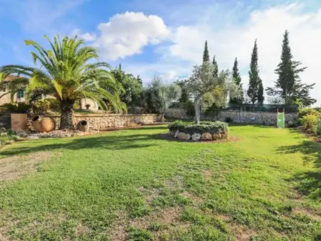 Blaypetit, Maison 6 personnes à Muro - Photo 46