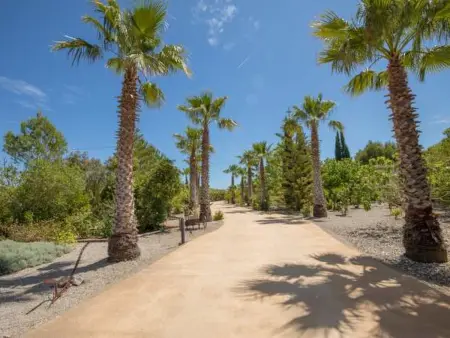 San Vicente, Maison 4 personnes à Sa Pobla - Photo 25