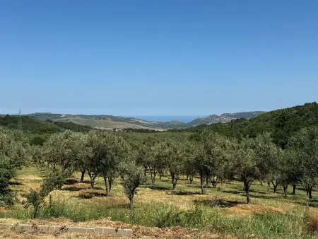 Landgut mit Blick auf das Wasser, Appartement 4 personnes à Girifalco - Photo 22