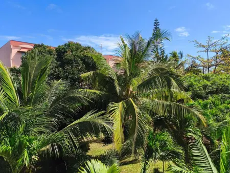 R Garden Fleury Sur Mer Trou aux Biches, Appartement 4 personnes à Cap Malheureux - Photo 35