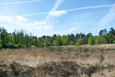 O'Hara Lodges - 6p, Maison de vacances pour 6 avec jardin privé Wi-Fi - Photo 15