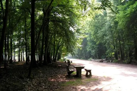 Cordelia Lodges, Le pavillon avec jardin et aire de pique-nique - Photo 4