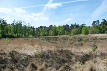 Cordelia Lodges, Le pavillon avec jardin et aire de pique-nique - Photo 18