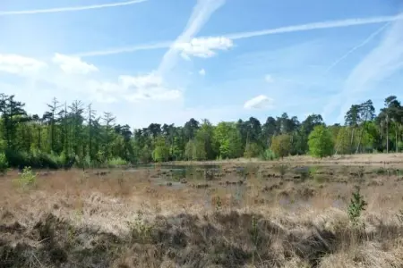 Luxe Lodges, Chalet de luxe en forêt avec jardin privé - Photo 19