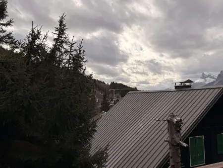 Studio mezzanine ensoleillé, proche pistes, Les Carroz d'Arâches - Photo 9